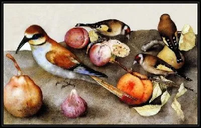 Птицы и фрукты (Birds and Fruit)