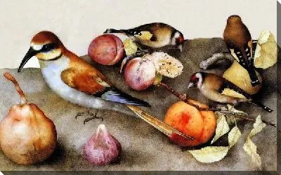 Птицы и фрукты (Birds and Fruit)