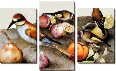 Птицы и фрукты (Birds and Fruit)