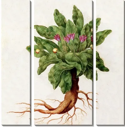 Картина Растение с фиолетовыми цветами (A plant with purple flowers)