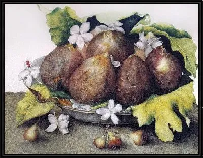 Фрукты на тарелке (Fruits on a plate)