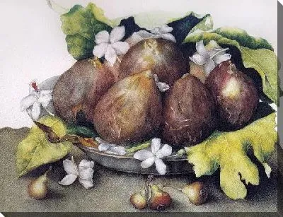 Фрукты на тарелке (Fruits on a plate)