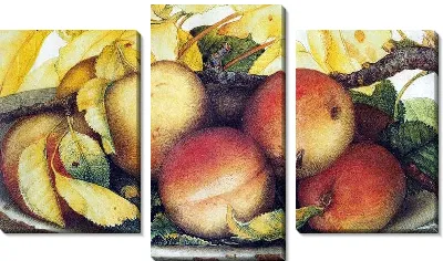 Картина Спелые персики (Ripe peaches)