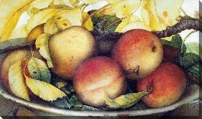 Спелые персики (Ripe peaches)