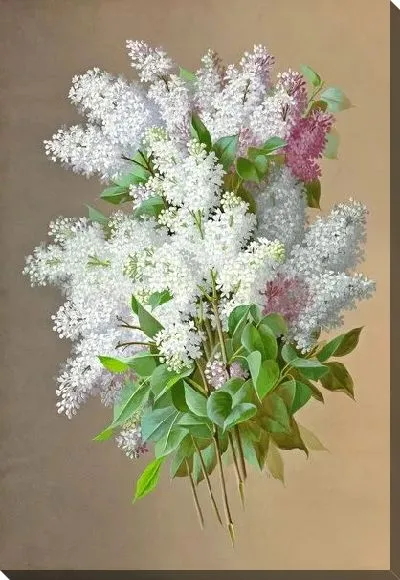 Картина Сирень (Iilac) №7
