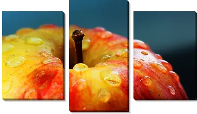 Модульная картина Яблоко (Apple)
