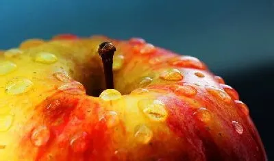 Плакат Яблоко (Apple)