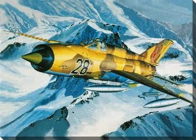 Постер Военный самолет (War plane) №2