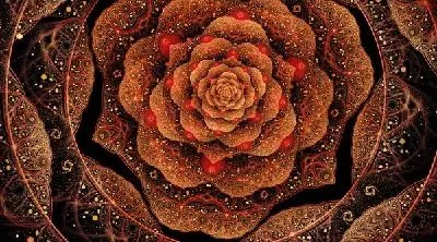 Плакат Золотистая роза (Golden rose)