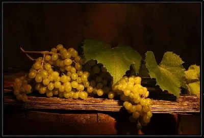 Картина Виноград на столе (Grapes on the table)