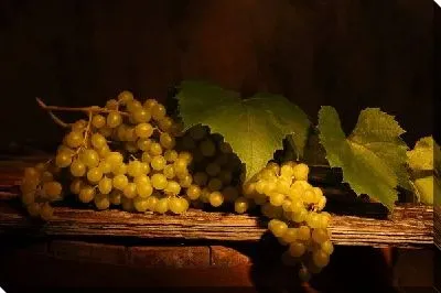 Постер Виноград на столе (Grapes on the table)