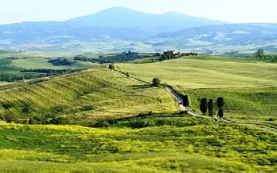 Плакат Долина (Valley)