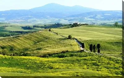 Постер Долина (Valley)