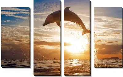 Модульная картина Дельфин (Dolphin) №2