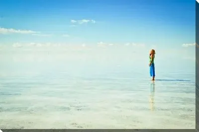 Постер Девушка на побережье (The girl on the beach)