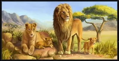 Картина Семейство львов (The family of lions)