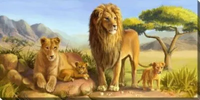 Постер Семейство львов (The family of lions)