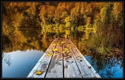 Картина Пруд в лесу (Pond in the Park)