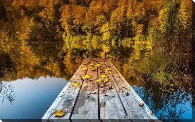 Постер Пруд в лесу (Pond in the Park)