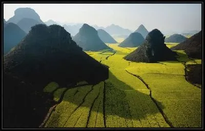Картина Поля (Field)
