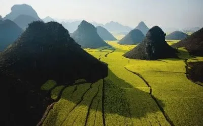 Плакат Поля (Field)