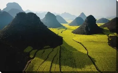 Постер Поля (Field)