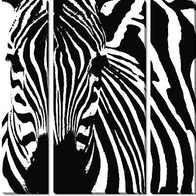 Модульная картина Зебра (Zebra) №6