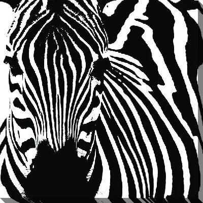 Зебра (Zebra) №6