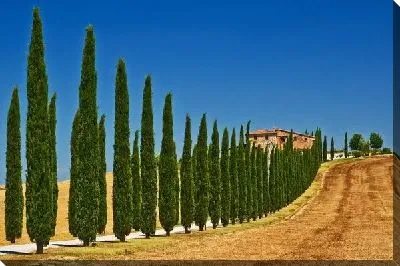 Постер Тоскана (Tuscany)