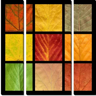Модульная картина Композиция с осенними листьями (Composition with autumn leaves)