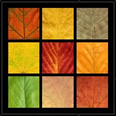 Картина Композиция с осенними листьями (Composition with autumn leaves)