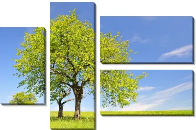 Модульная картина Деревья в поле (Trees in a field) №2