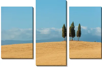 Модульная картина Деревья в поле (Trees in a field) №3