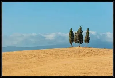Картина Деревья в поле (Trees in a field) №3