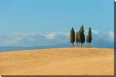 Постер Деревья в поле (Trees in a field) №3