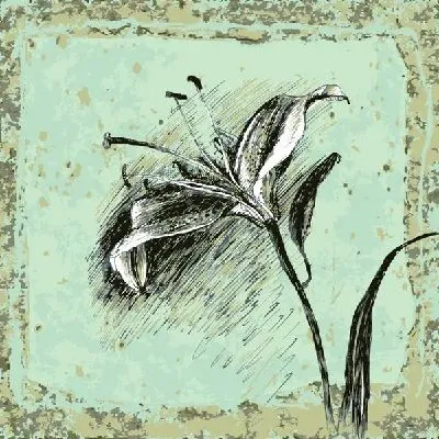 Плакат Лилия (Lily) №5