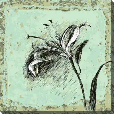 Постер Лилия (Lily) №5