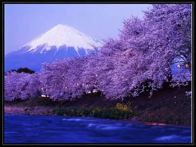Гора Фудзияма (Mount Fuji)