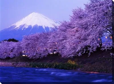 Гора Фудзияма (Mount Fuji)