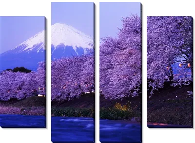 Гора Фудзияма (Mount Fuji)