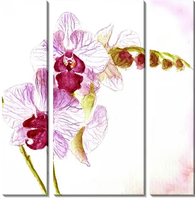 Модульная картина Белые орхидеи (White orchids)
