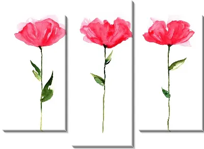 Модульная картина Три цветка (Three flowers)