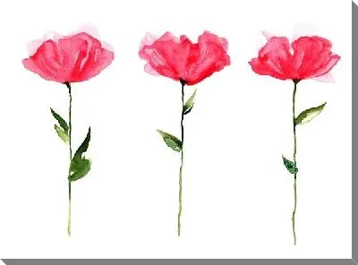 Картина маслом Три цветка (Three flowers)