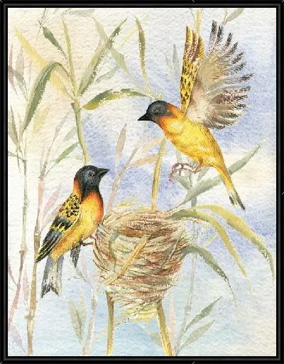 Картина Две птицы (Two birds)