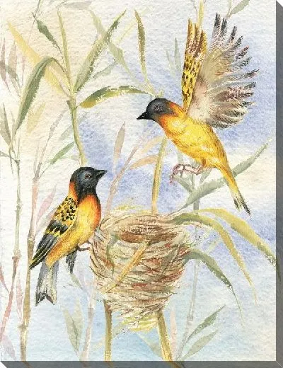 Картина маслом Две птицы (Two birds)