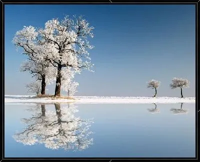 Картина Деревья зимой (Trees in winter)