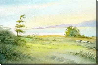 Картина маслом Берег озера (The lake shore)