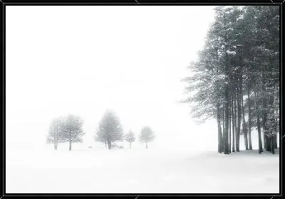Картина Зимний пейзаж (Winter landscape) №20