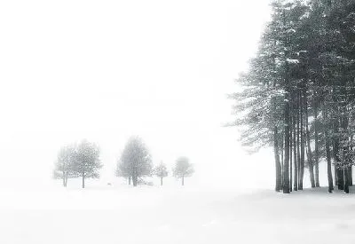 Плакат Зимний пейзаж (Winter landscape) №20