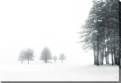 Постер Зимний пейзаж (Winter landscape) №20